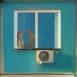 Window 29
