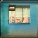 Window 4