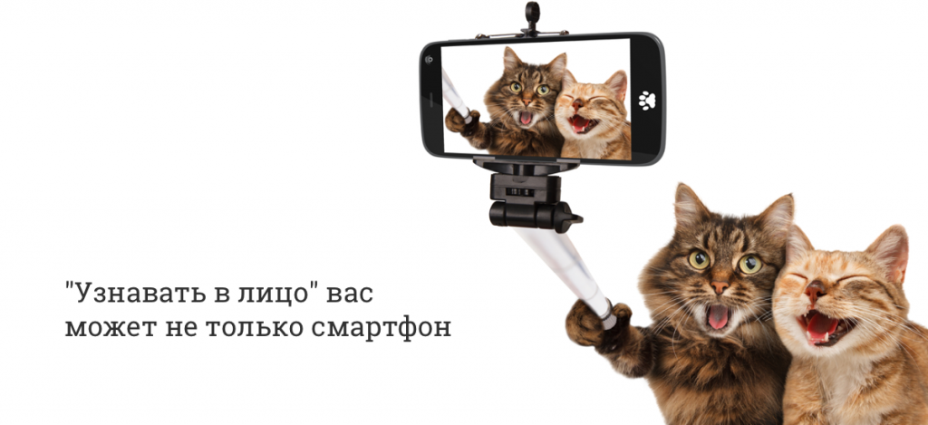 Виды биометрии